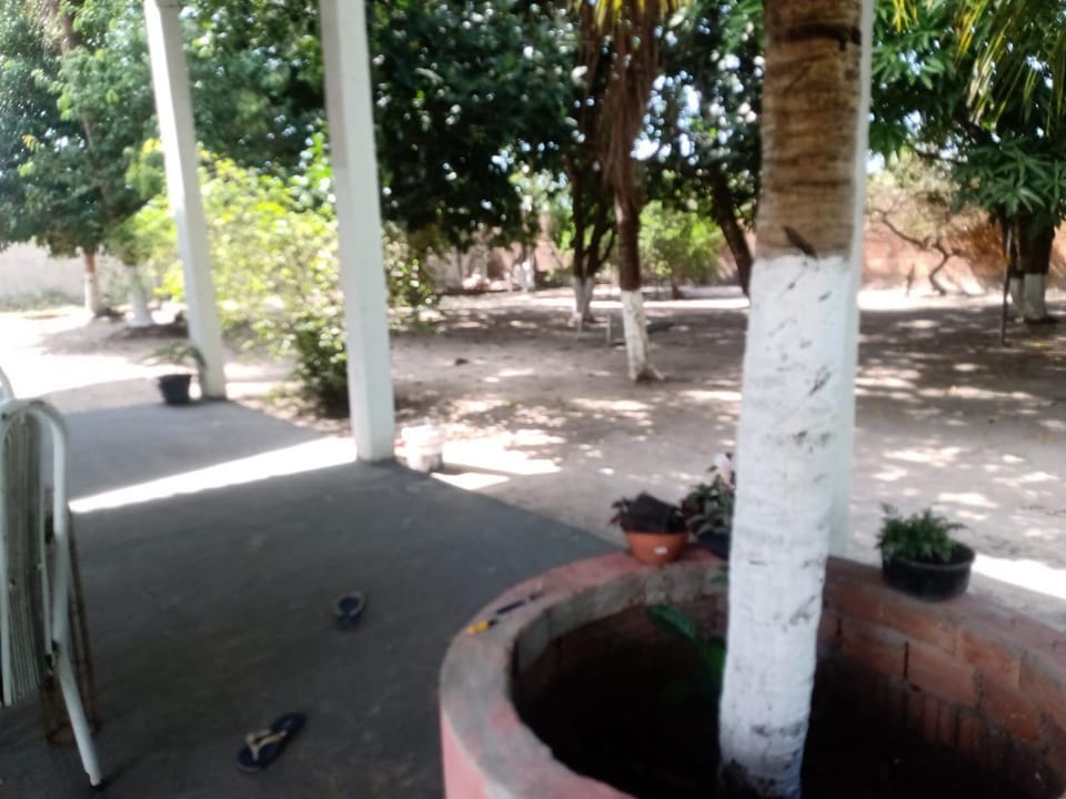 Chácara Recanto dos Poetas House in State of Maranhão, Brazil