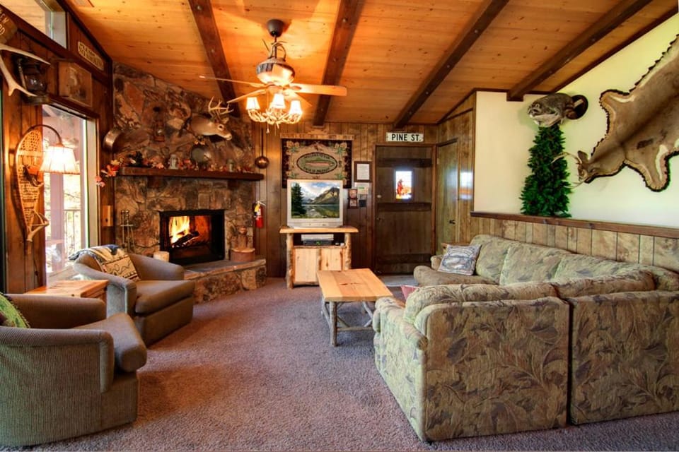 TV and multimedia, Living room, fireplace