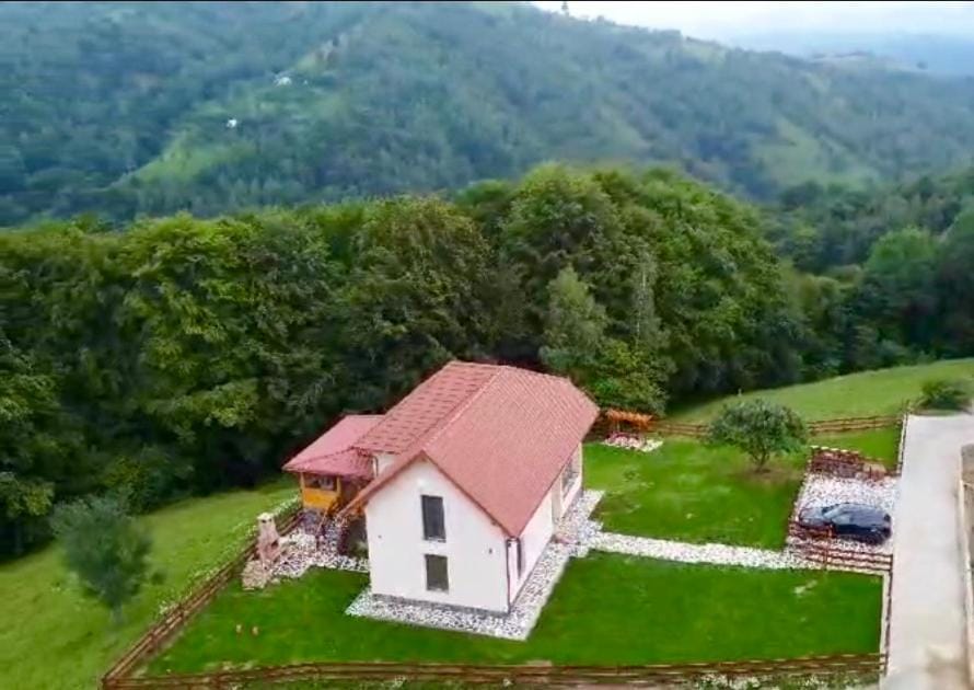 Vila Eden Pestera Villa in Brașov County