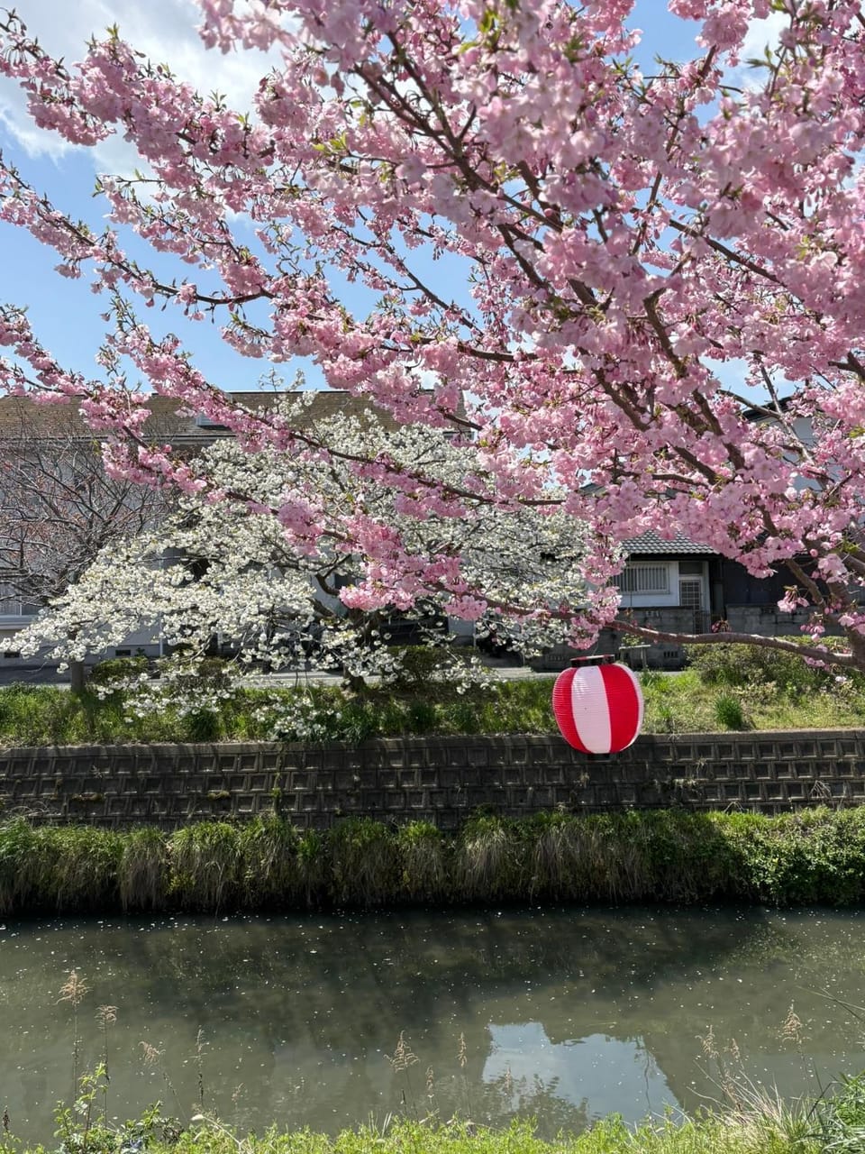 Minpaku SAKURA 民泊 戸建貸切 彦根城まで車10分 無料駐車場 普通2台小型1台 Villa in Shiga, Japan