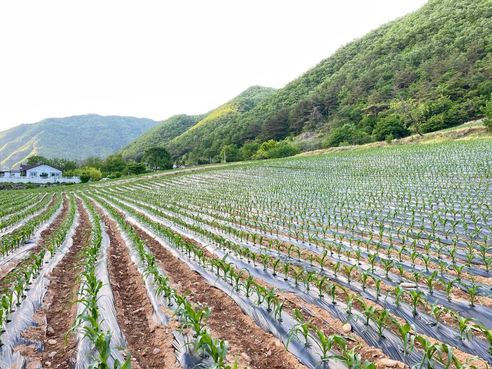Natural landscape, Mountain view