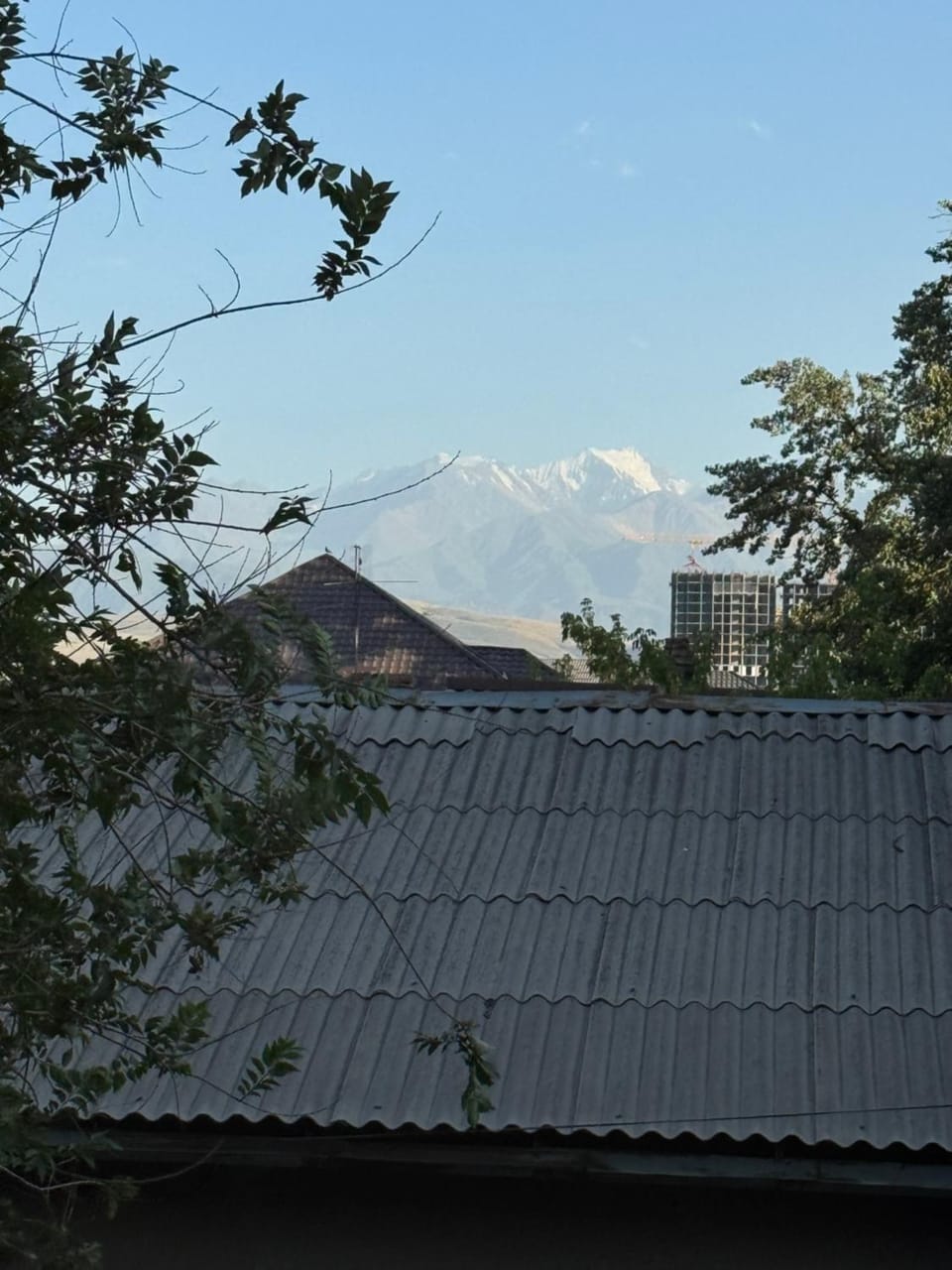View (from property/room)