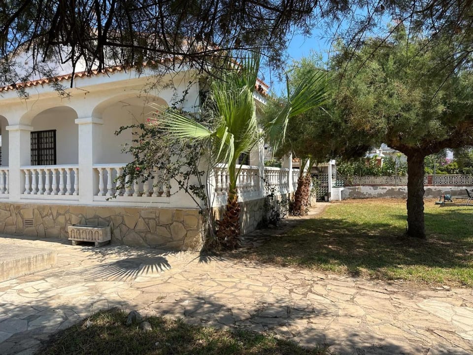 Patio, Garden, Garden view