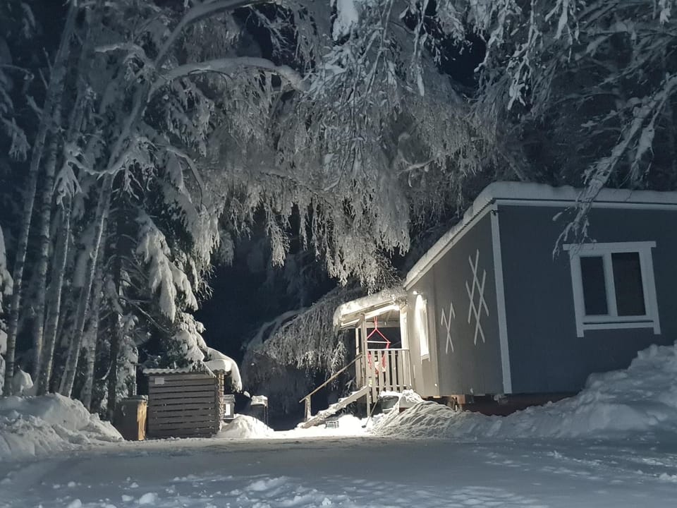 Property building, Night, Winter