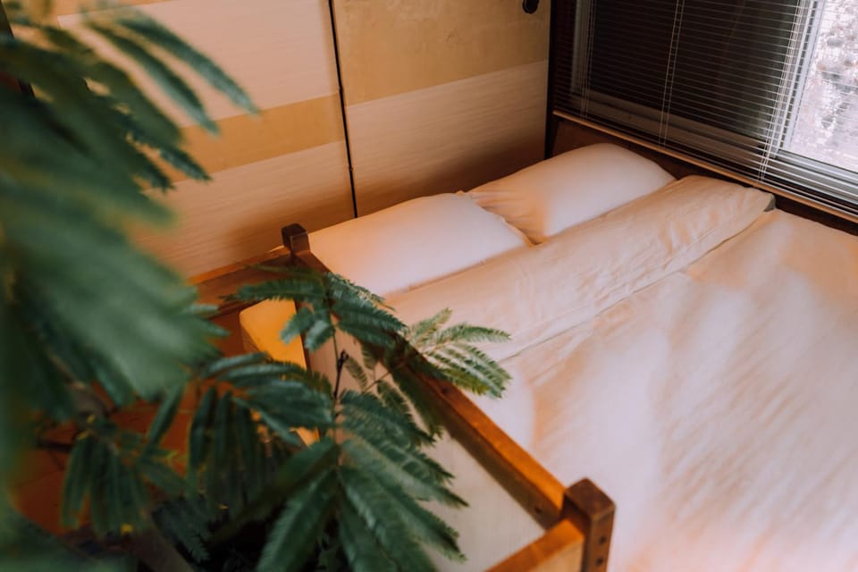 Ivy Harajuku Apartment in Shibuya