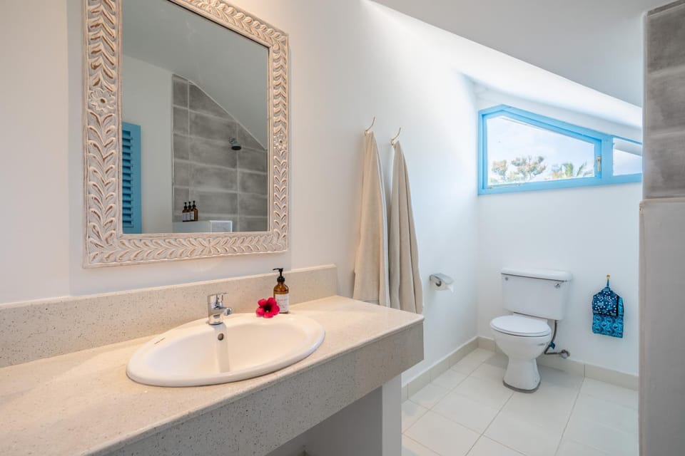 Toilet, Bathroom, towels