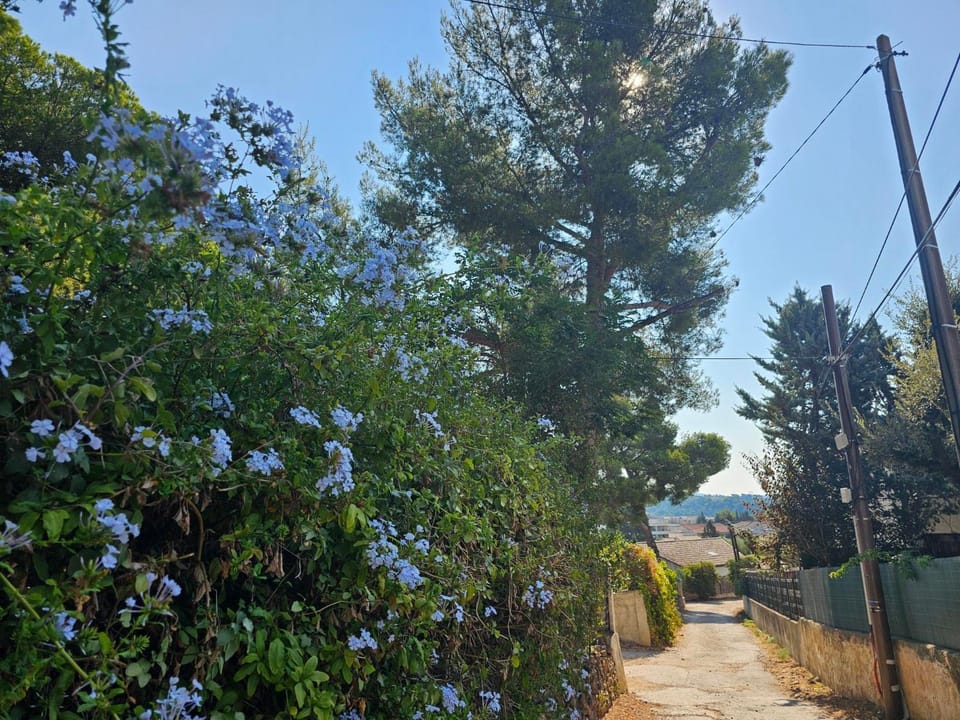 Neighbourhood