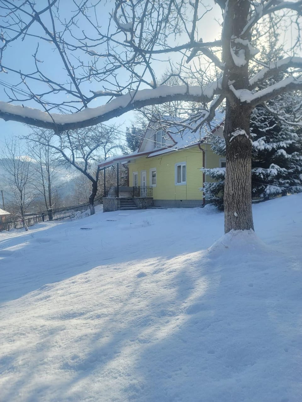 Три смерічки House in Romania