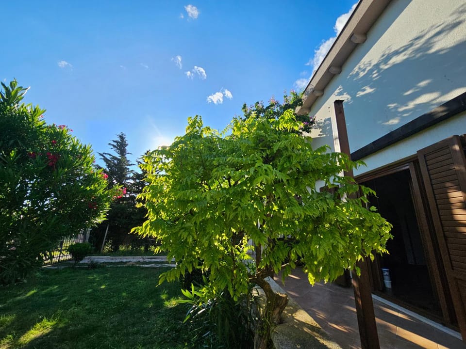 Day, Garden, Garden view