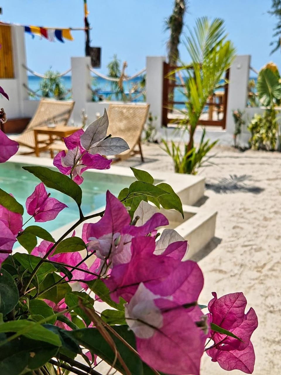 Patio, Day, Natural landscape, Garden, Beach, Garden view, Pool view, Sea view, Swimming pool, sunbed