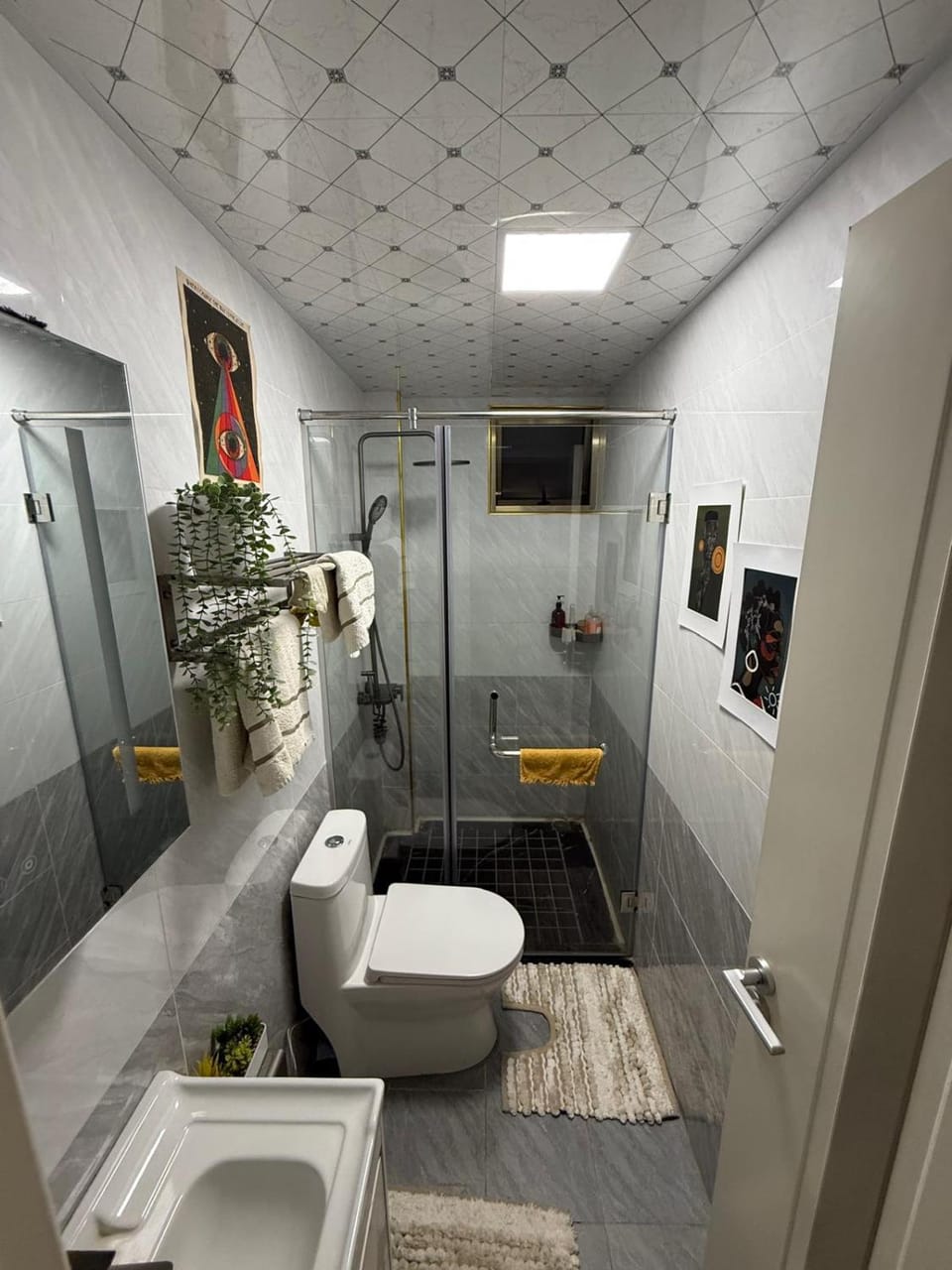 Shower, Toilet, Bathroom