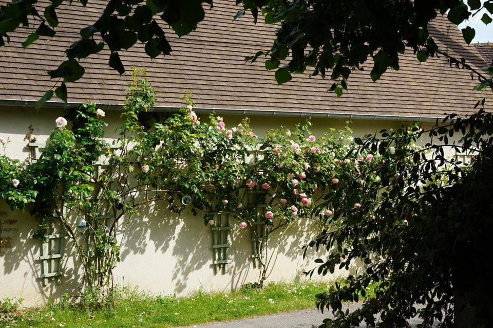 Maison au cœur du village Potier House in Centre-Val de Loire