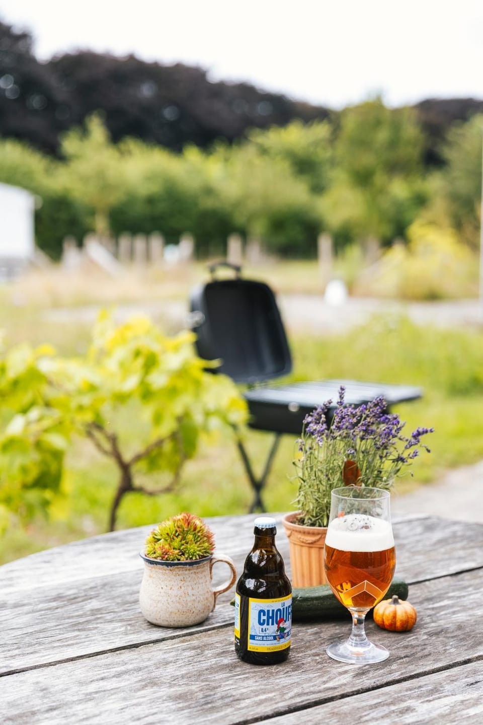 Day, Natural landscape, Garden, Food and drinks, Garden view, Drinks, Alcoholic drinks