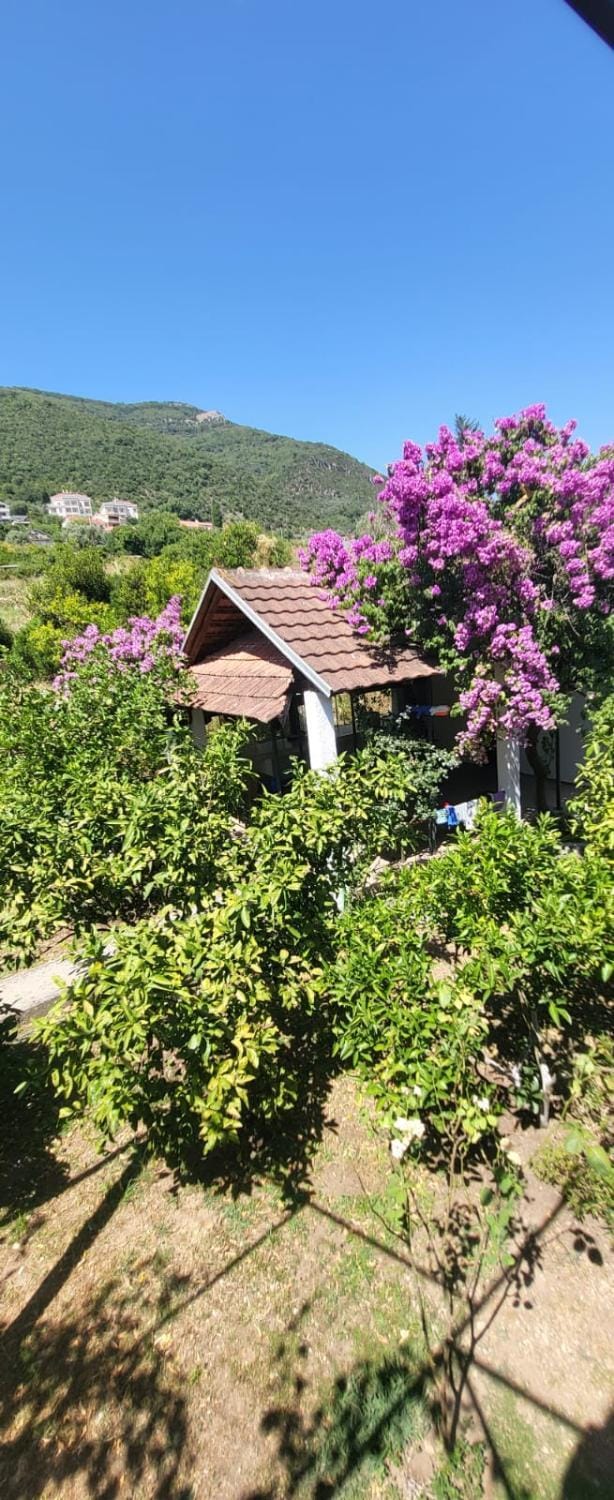 Natural landscape, Garden, On site, Mountain view, kitchen