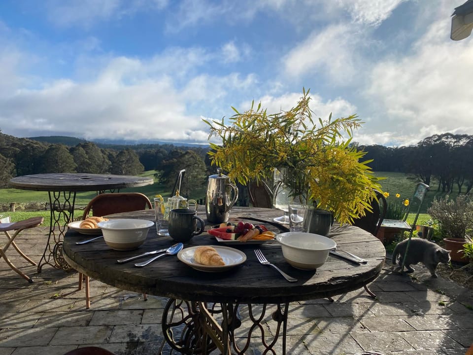 Balcony/Terrace, Breakfast