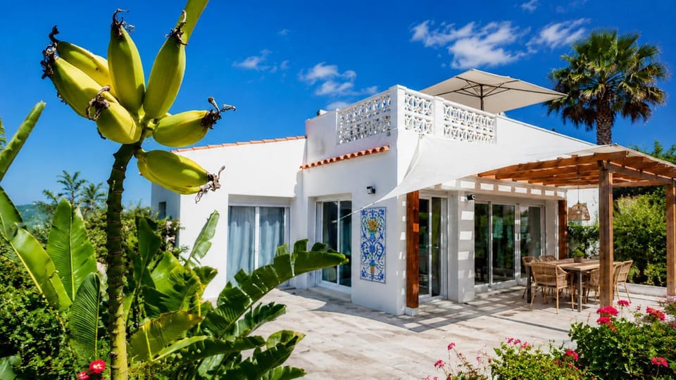 Property building, Patio, Garden, Balcony/Terrace