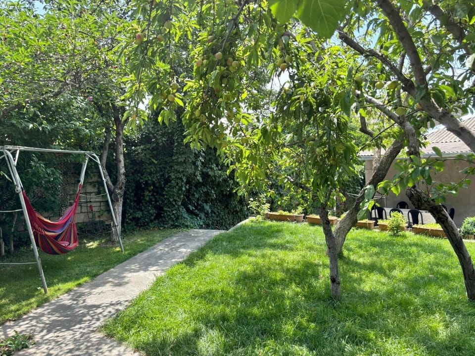 Spring, Day, Natural landscape, Garden, Garden view