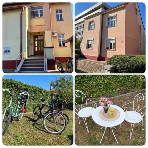 Property building, Cycling, Garden view