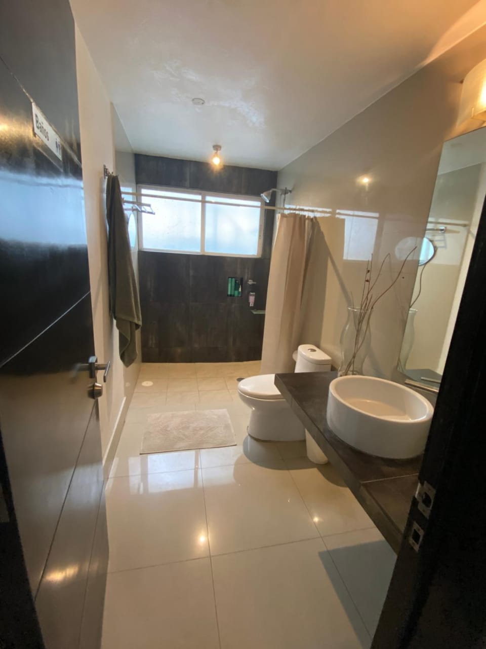 Shower, Toilet