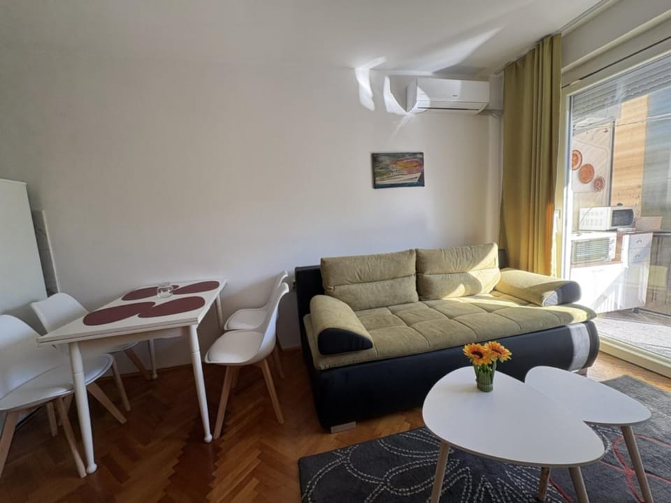 Living room, Dining area, air conditioner