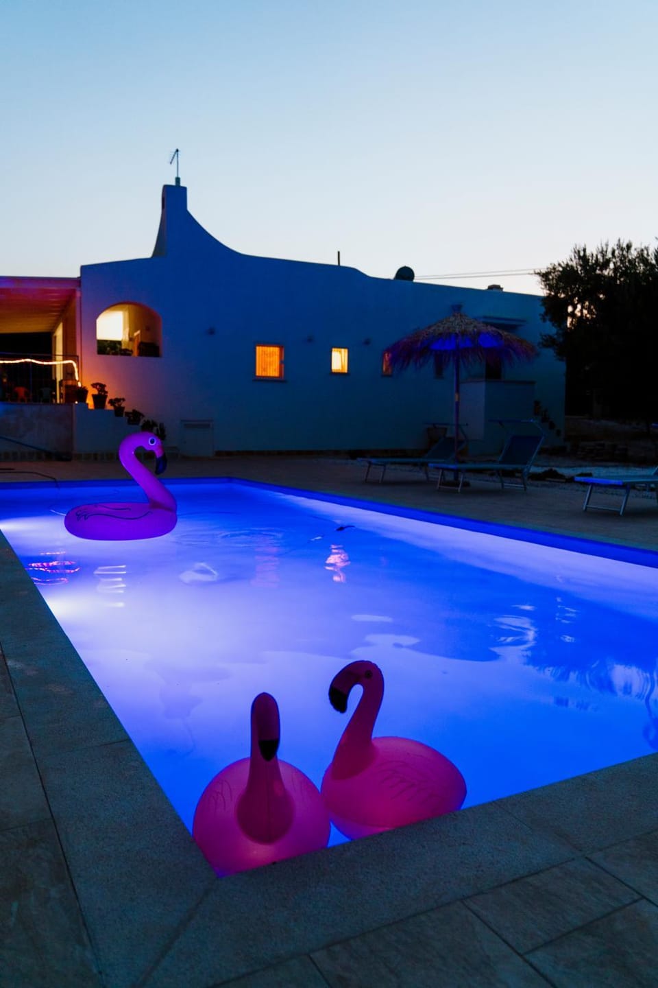 Night, Pool view, Swimming pool, sunbed