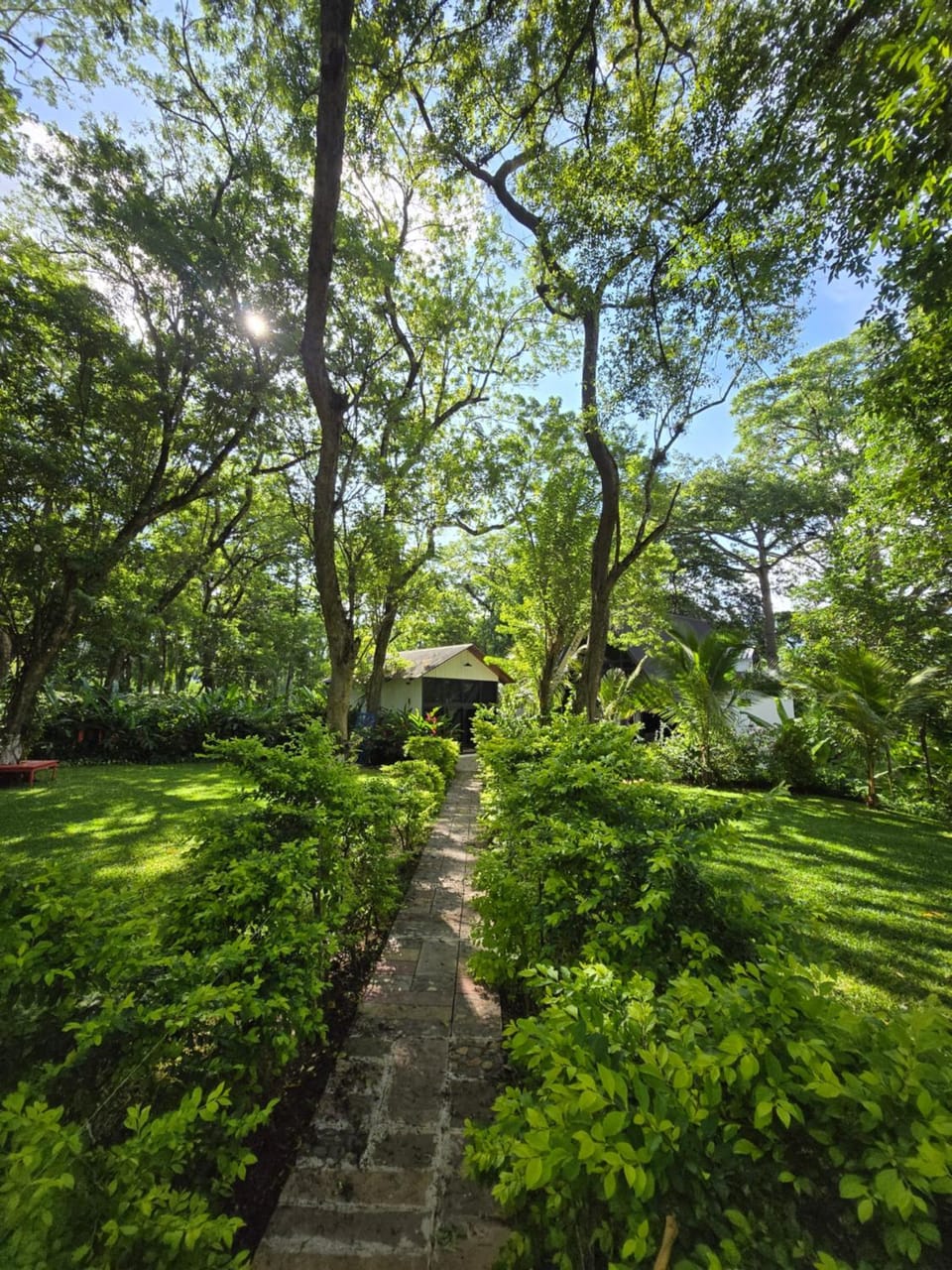 Cabaña Alpina Monte Carlo Bed and Breakfast in Honduras
