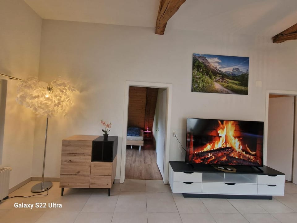 Communal lounge/ TV room, TV and multimedia