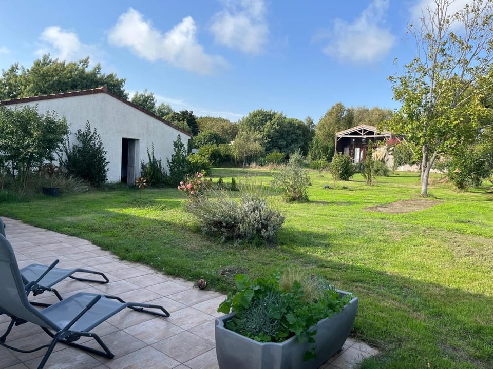 Patio, Garden view