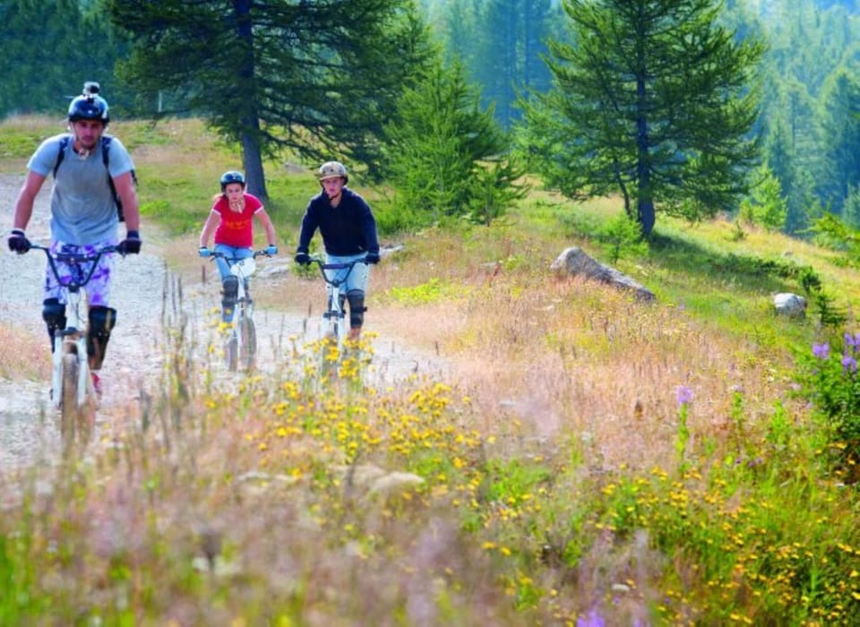 Spring, Day, People, Natural landscape, Cycling, group of guests