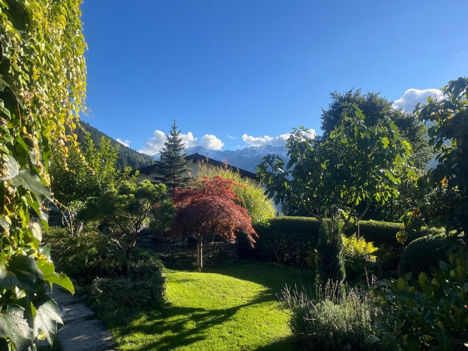 Garden, Mountain view