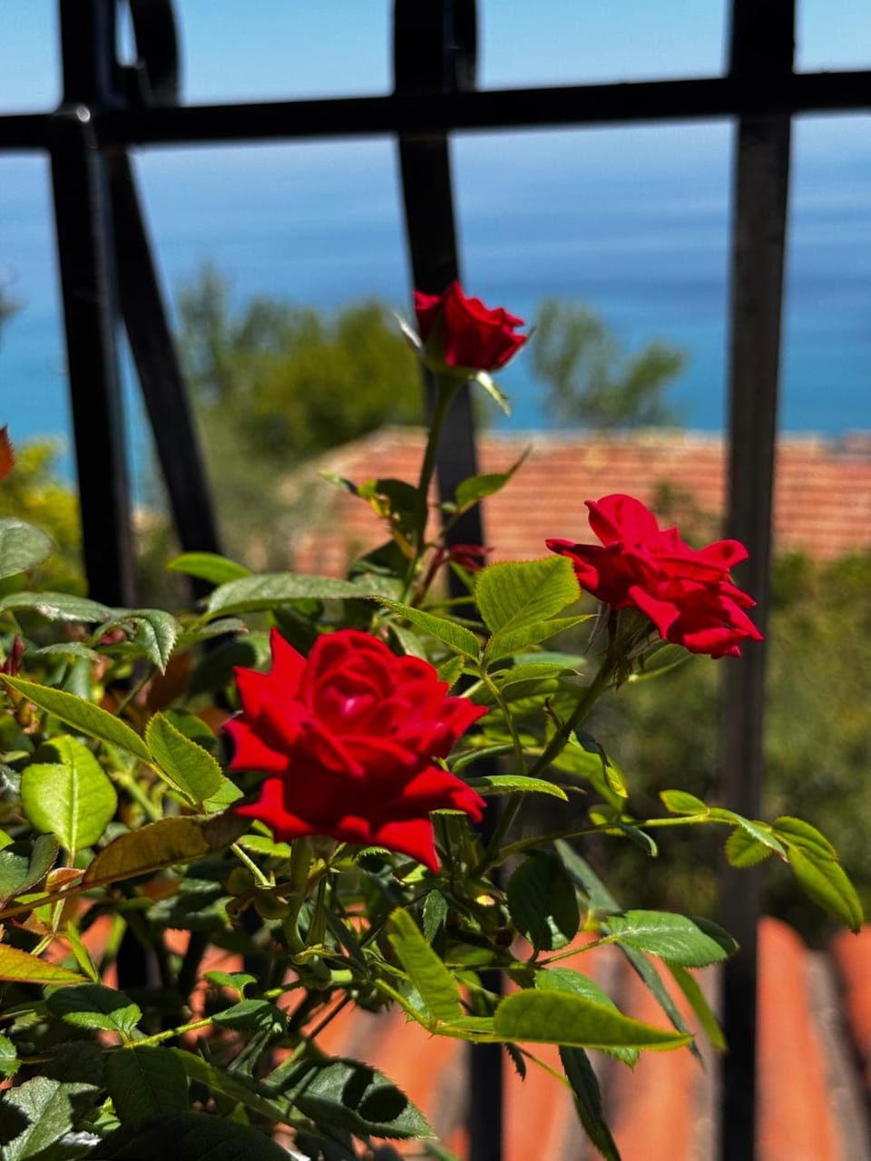 Georgia's Skyview Apartment in Cephalonia
