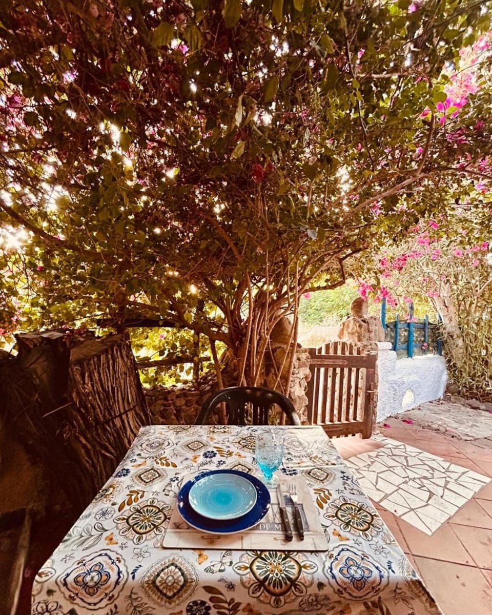 Patio, BBQ facilities, Garden, Dining area