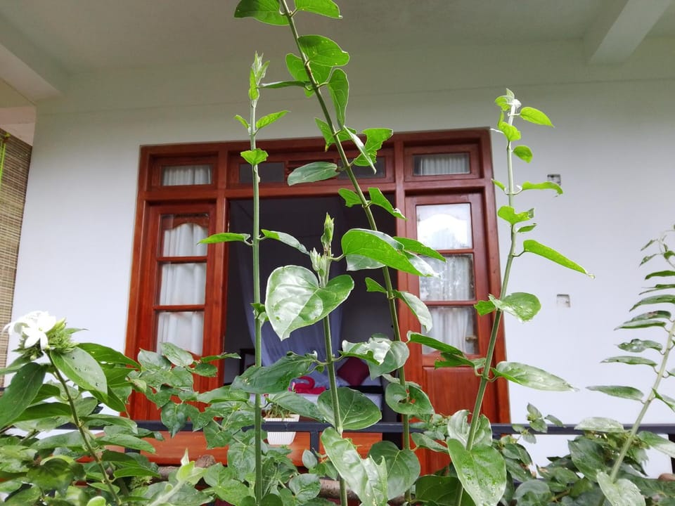 Green High Point Haven Ella Vacation rental in Uva Province, Sri Lanka
