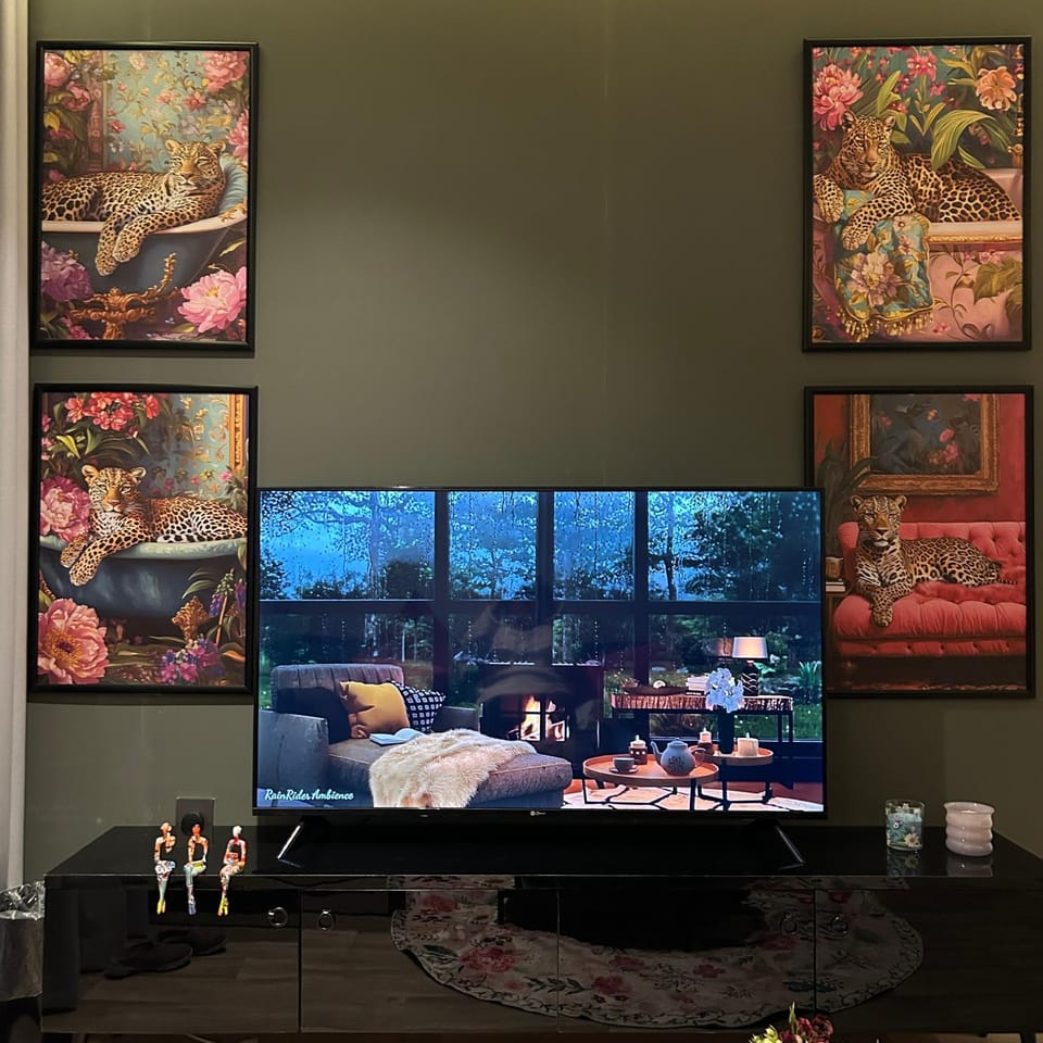 TV and multimedia