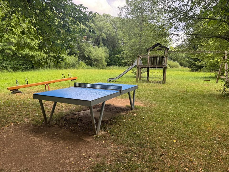Table tennis