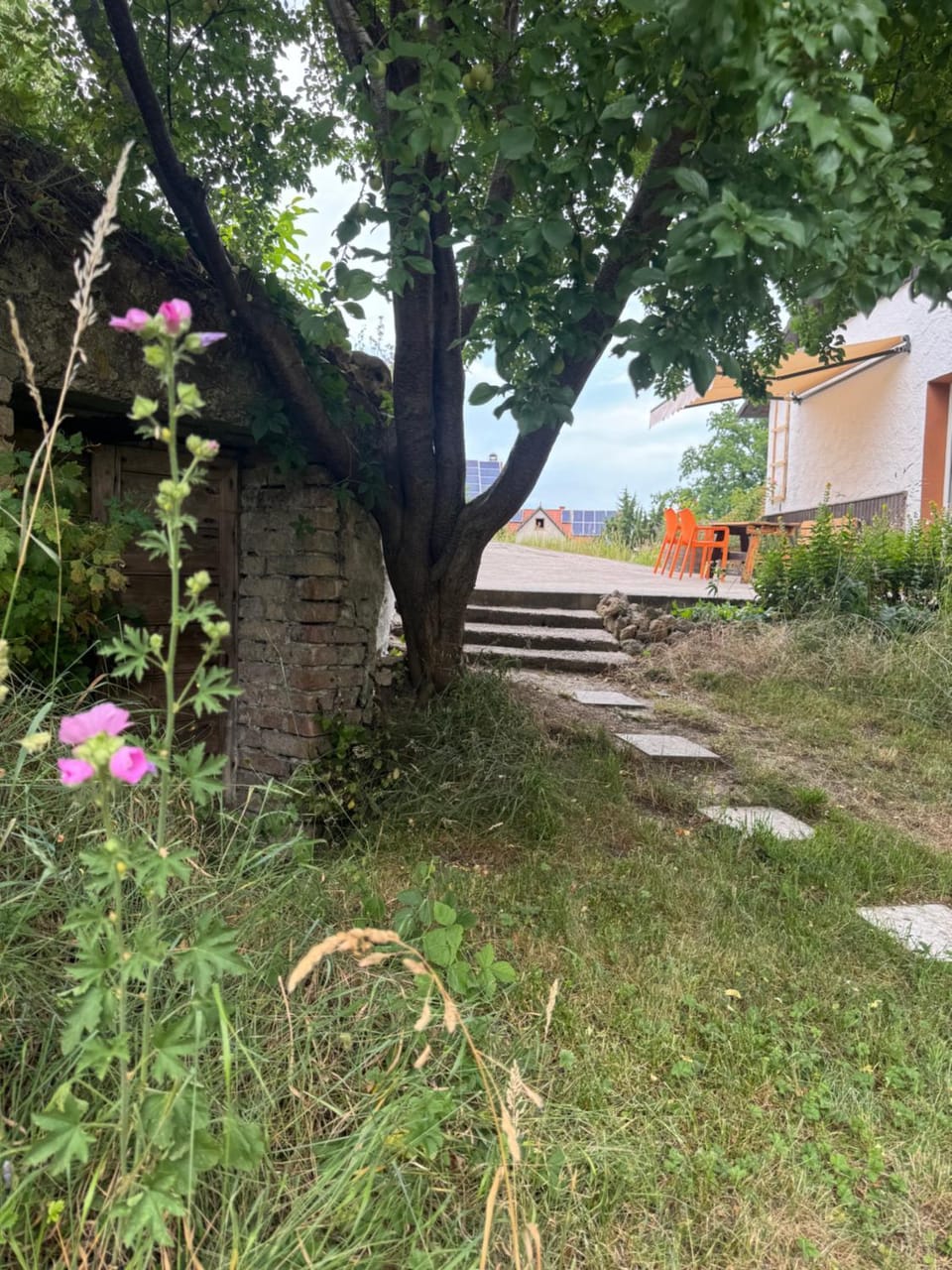 Garden, Balcony/Terrace