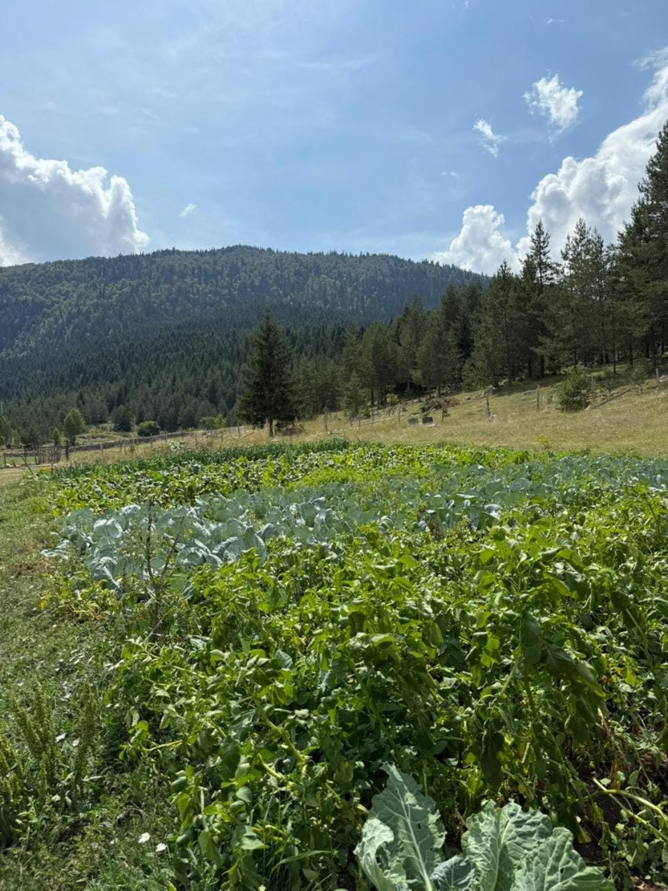Zelena dolina Zminica House in Zlatibor District, Serbia