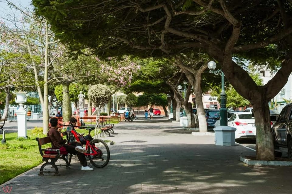 Cozy 2BR Relaxing Vibe Apartment in Barranco