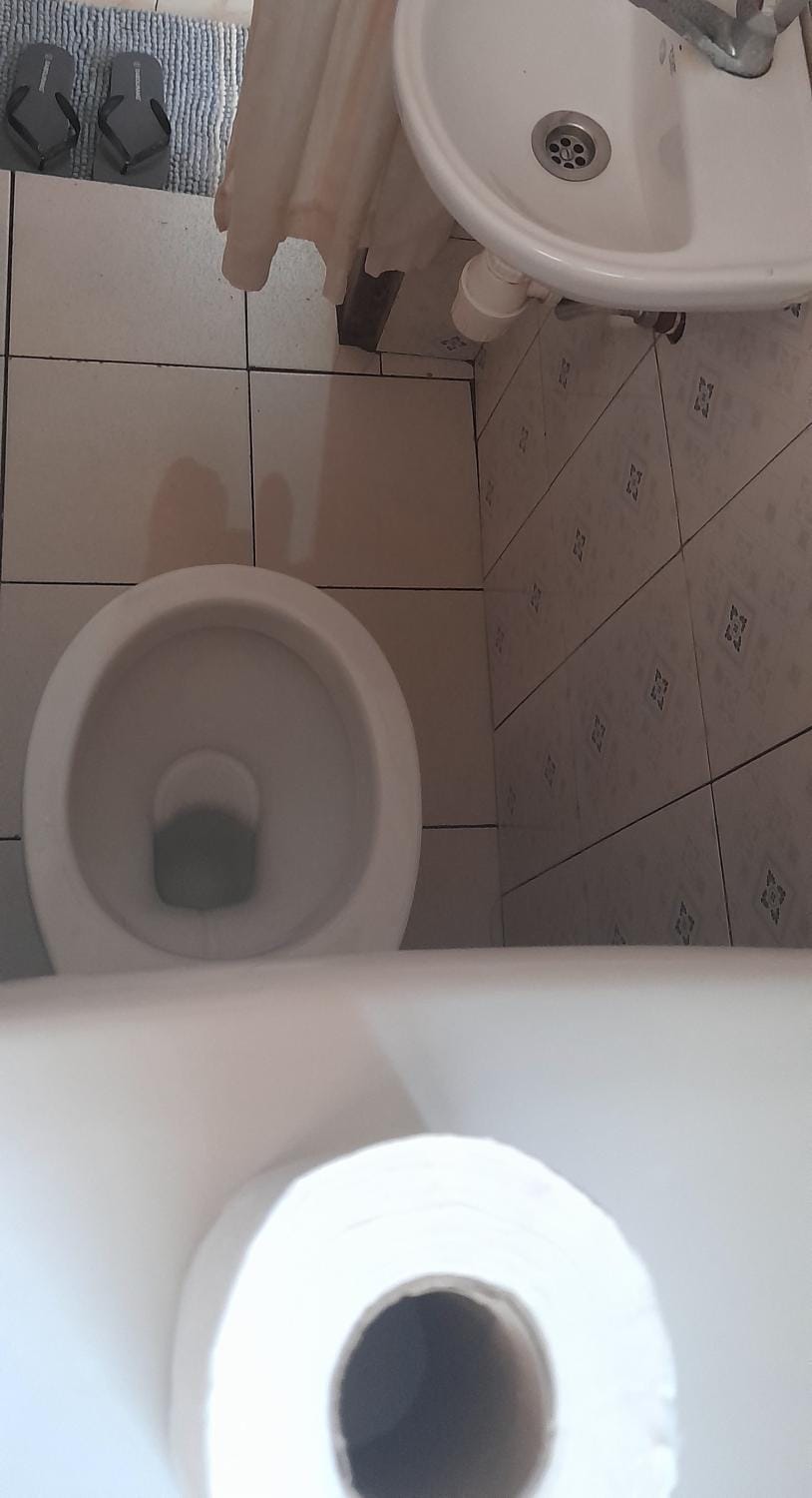 Toilet, Bathroom