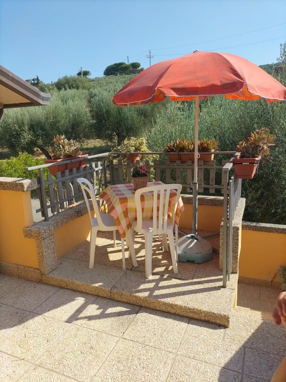 Balcony/Terrace