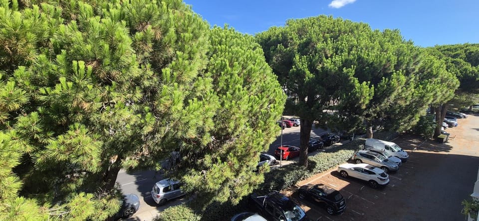 Natural landscape, Parking