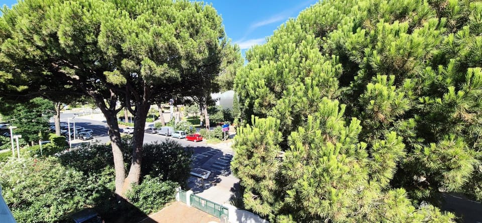 Natural landscape, Bird's eye view