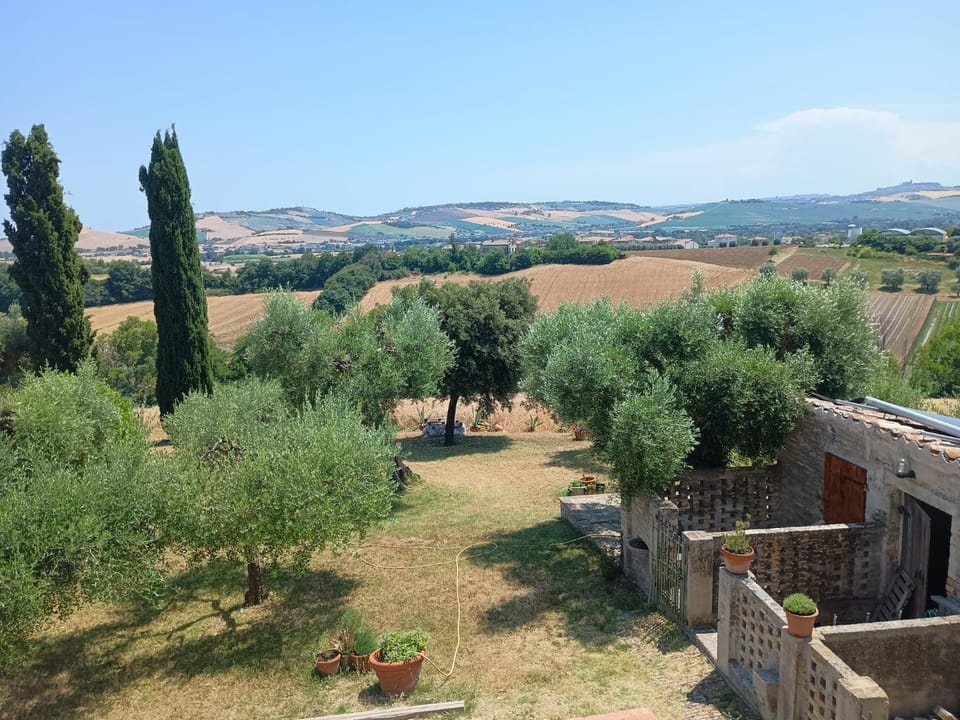 Garden view