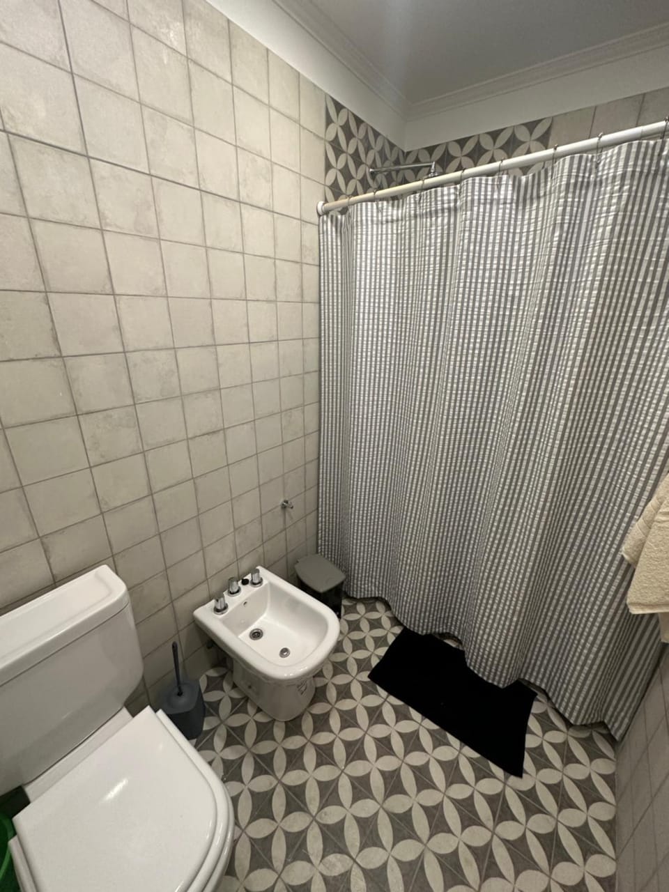 Shower, bidet, towels