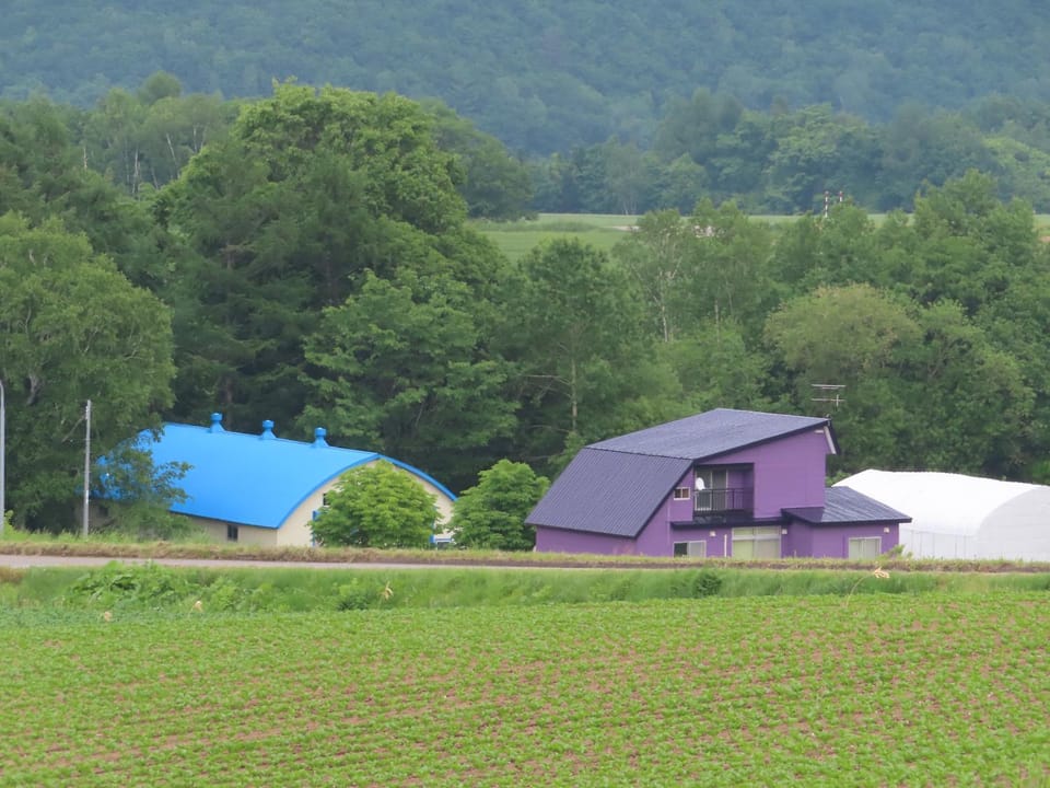 Property building, Natural landscape