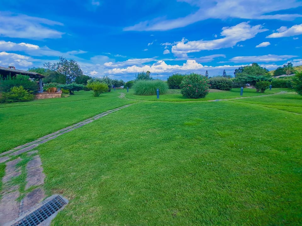 Day, Natural landscape, Garden, Garden view