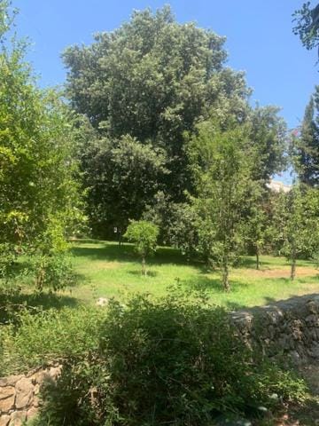 B&B Madreperla Bed and Breakfast in Gallipoli