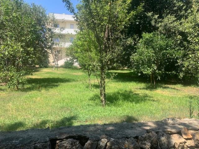 B&B Madreperla Bed and Breakfast in Gallipoli
