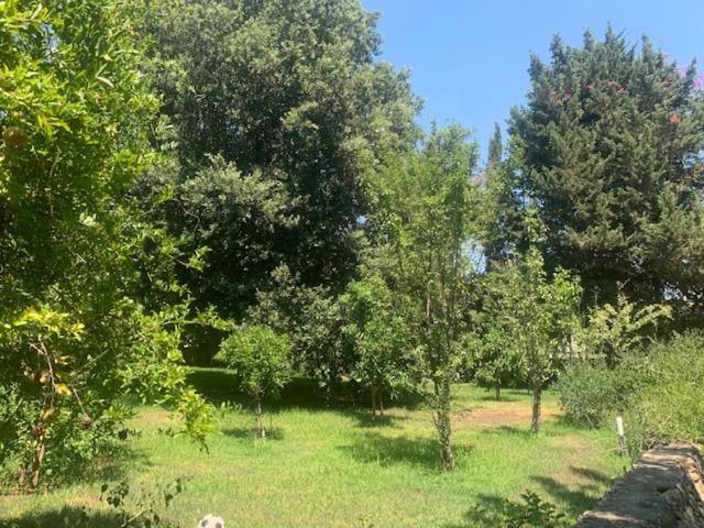 B&B Madreperla Bed and Breakfast in Gallipoli