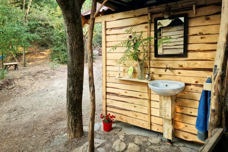 Day, Bathroom, Garden view